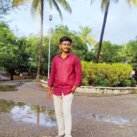 Profile Picture